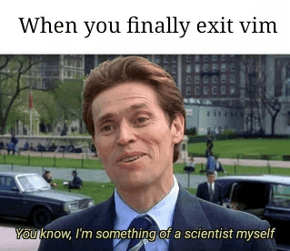 vim-meme